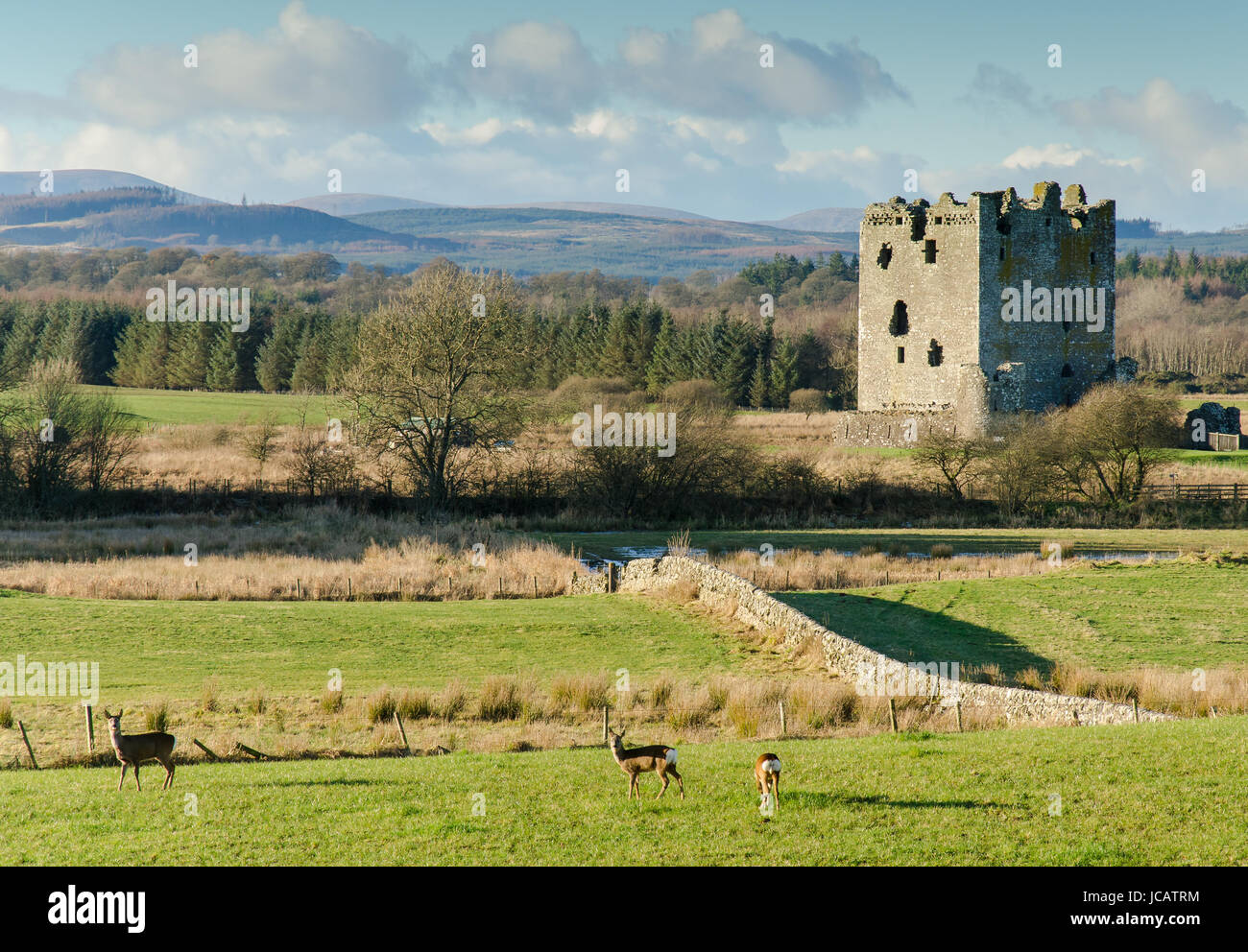 Archibald the grim hi-res stock photography and images - Alamy