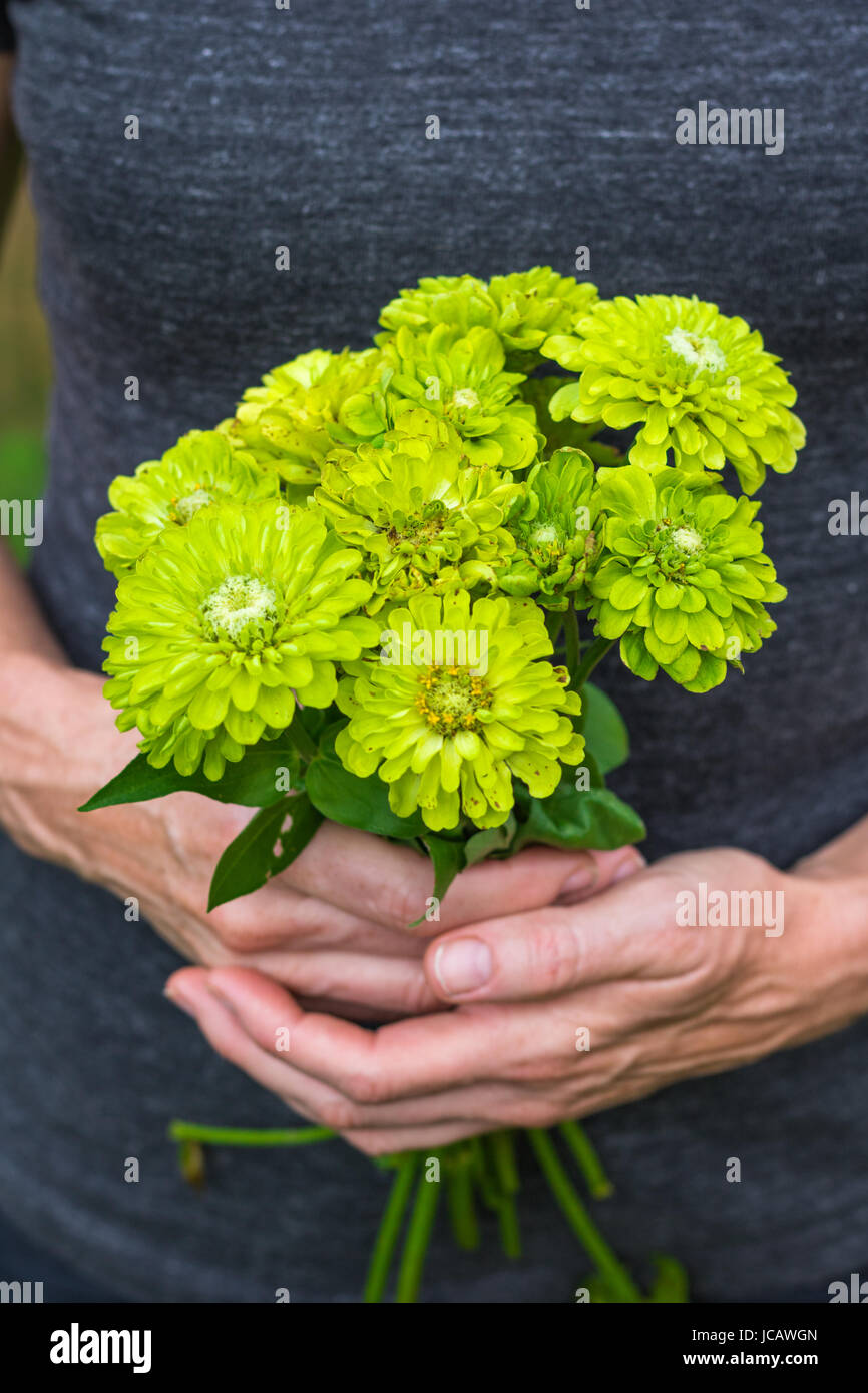 Vertical photo of a bouquet of green flowers in the hands of a Caucasian woman in a grey shirt Stock Photo