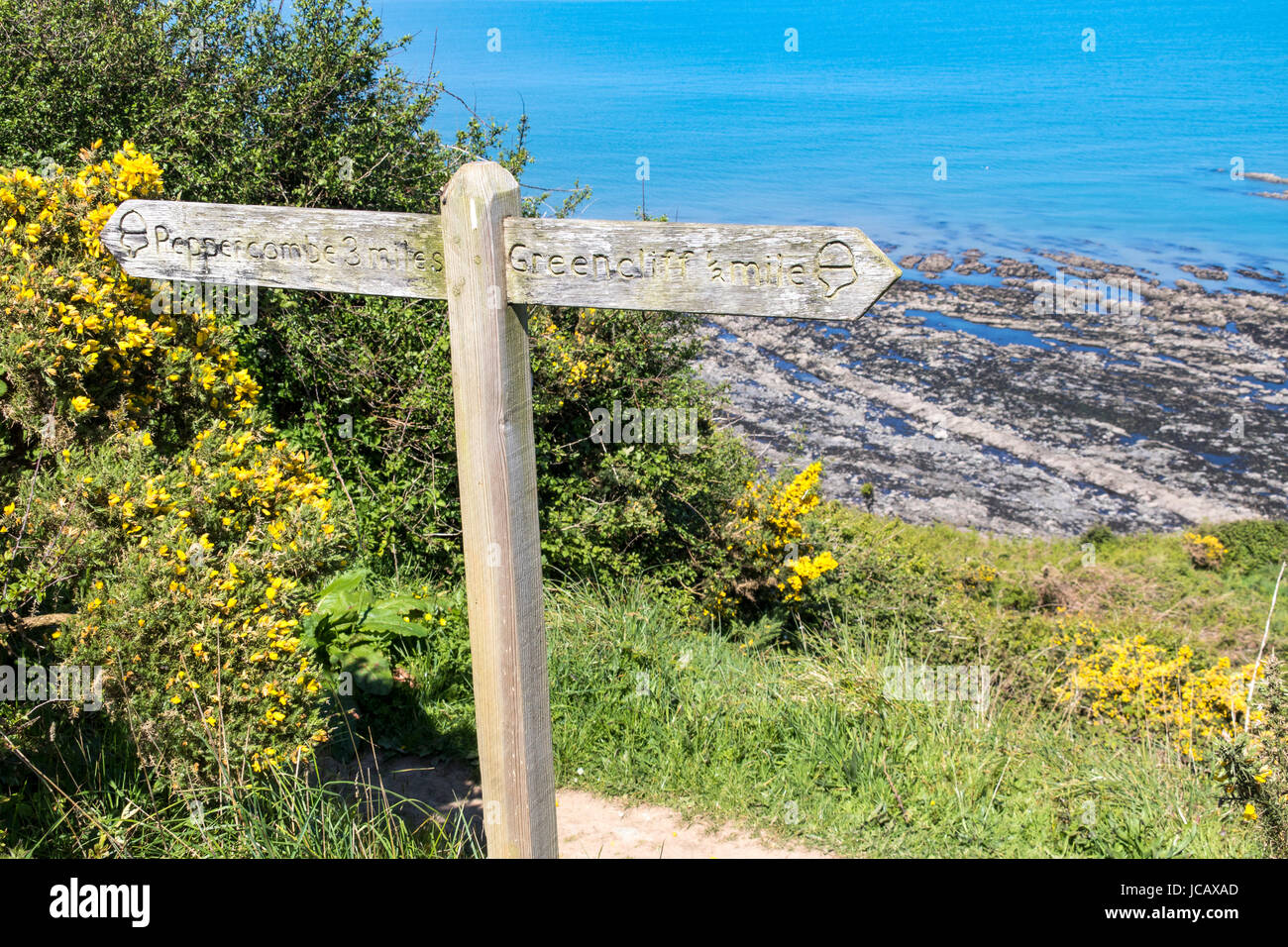 Wooden Signpost to Peppercombe and Greencliff on the South West Coast Path, Greencliff Devon, UK. Stock Photo