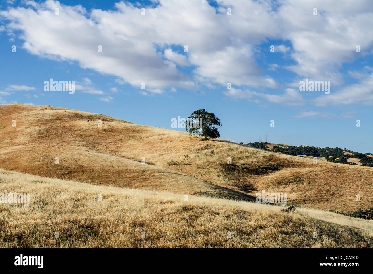 Panoramic view of the Lagoon Valley Park in Vacaville, California, USA
