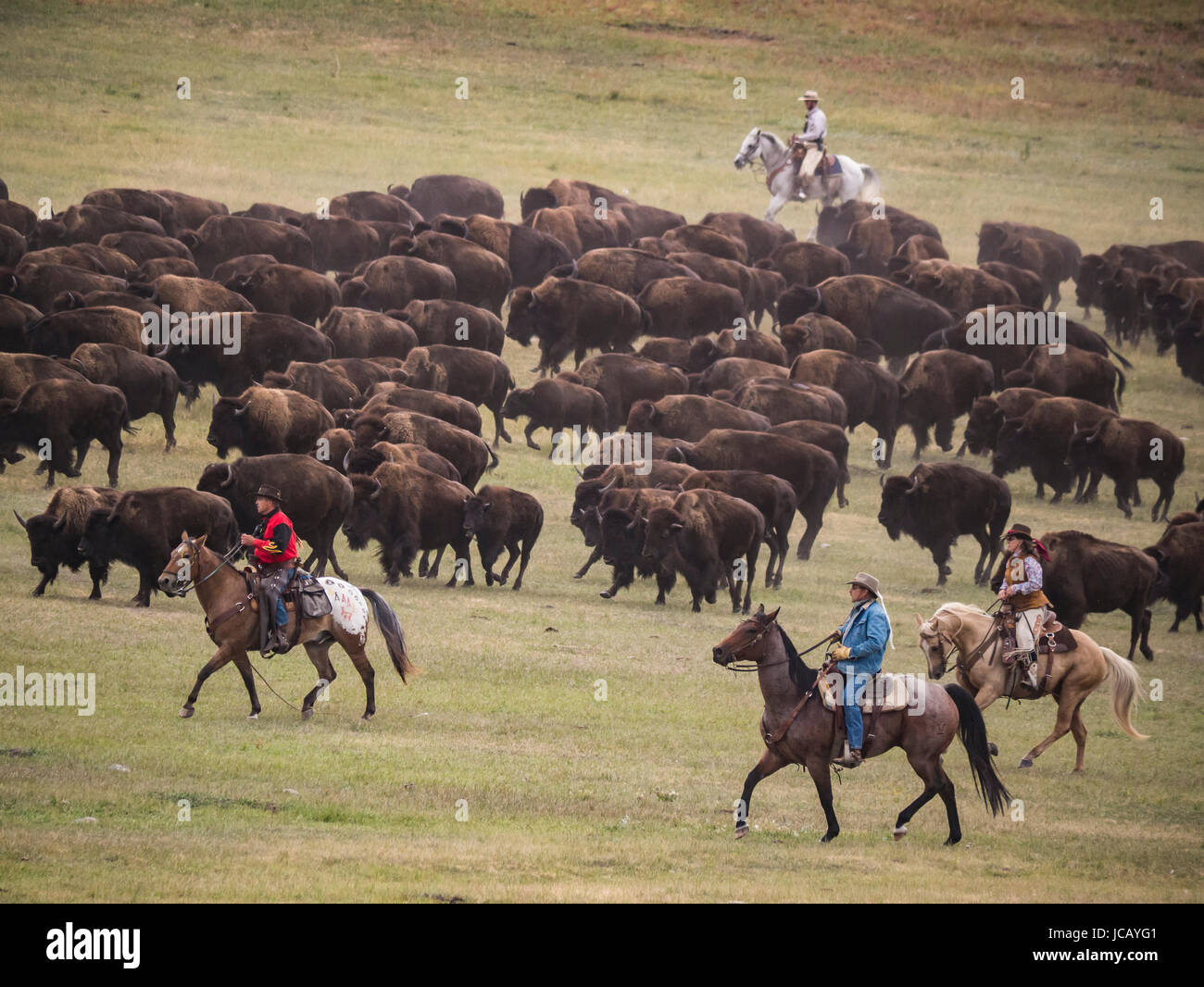 Custer Buffalo Roundup 2025 Danny Elinore