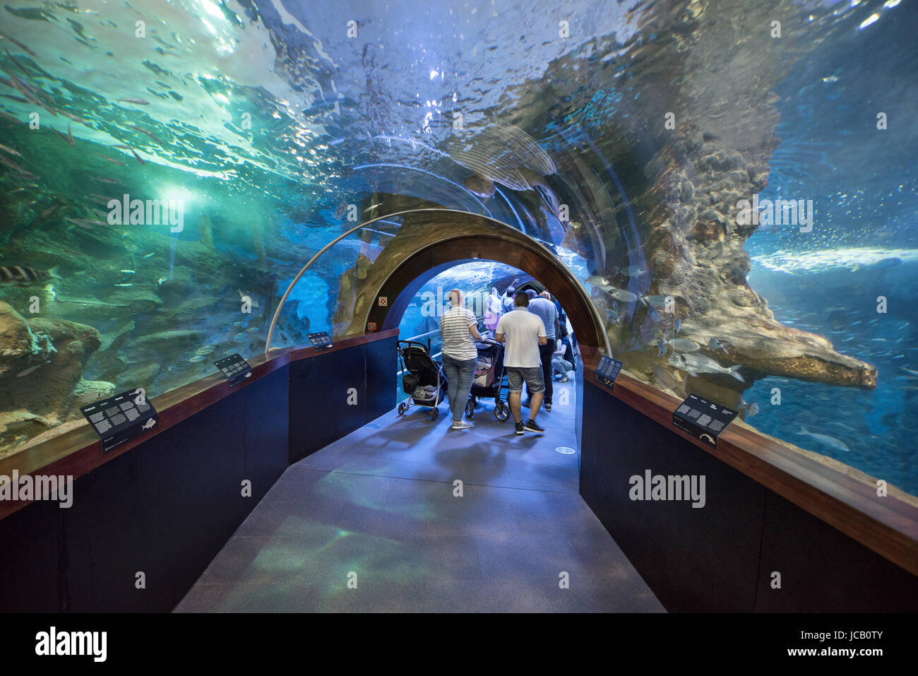 San Sebastian, Spain - June 10, 2017: People visiting famous San Sebastian Aquarium, Basque country, Spain. Stock Photo