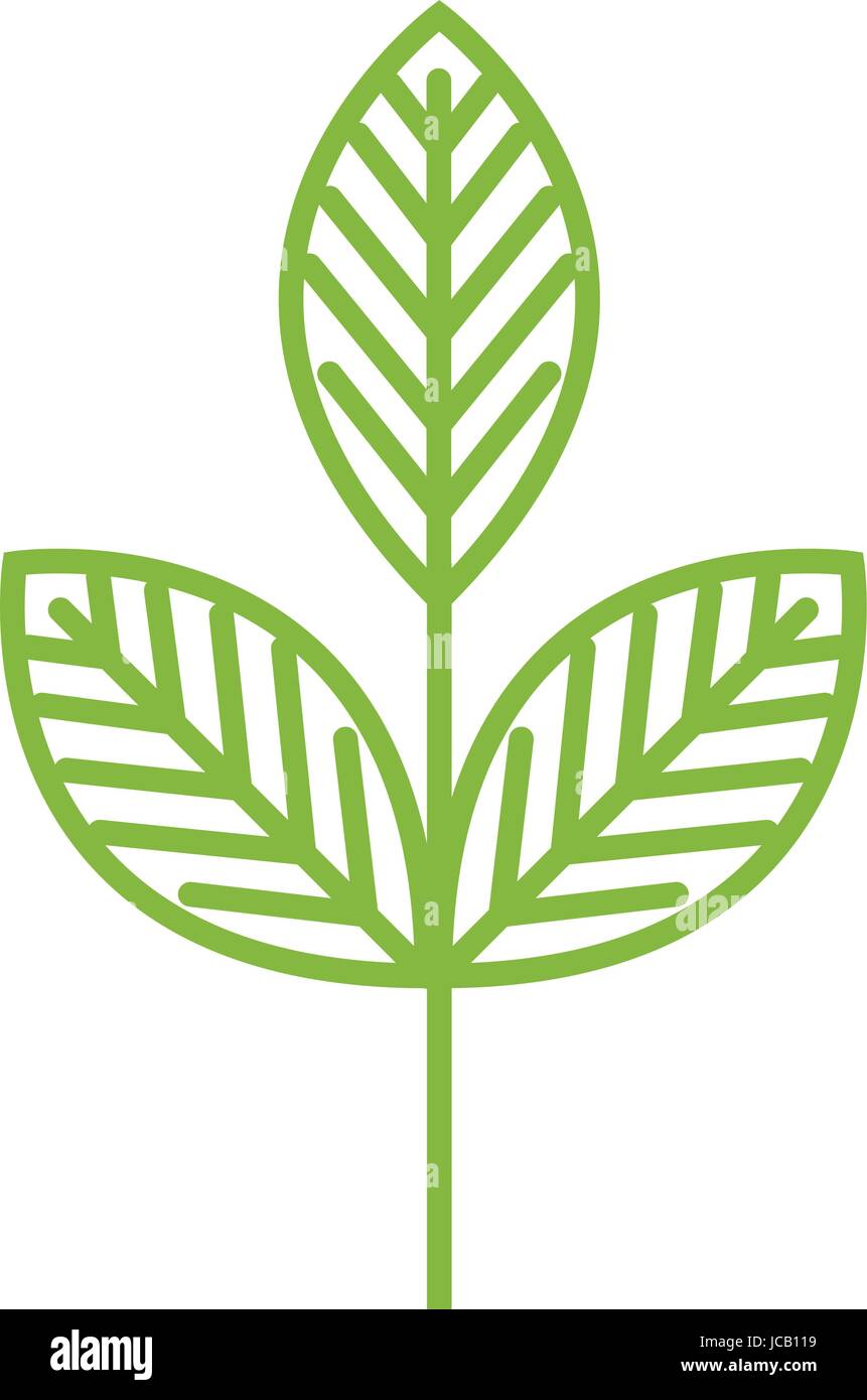 leafs plant ecology icon Stock Vector Image & Art - Alamy