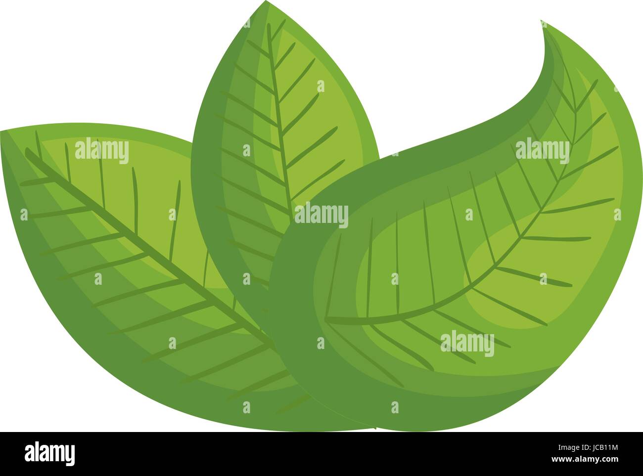 leafs plant ecology icon Stock Vector Image & Art - Alamy