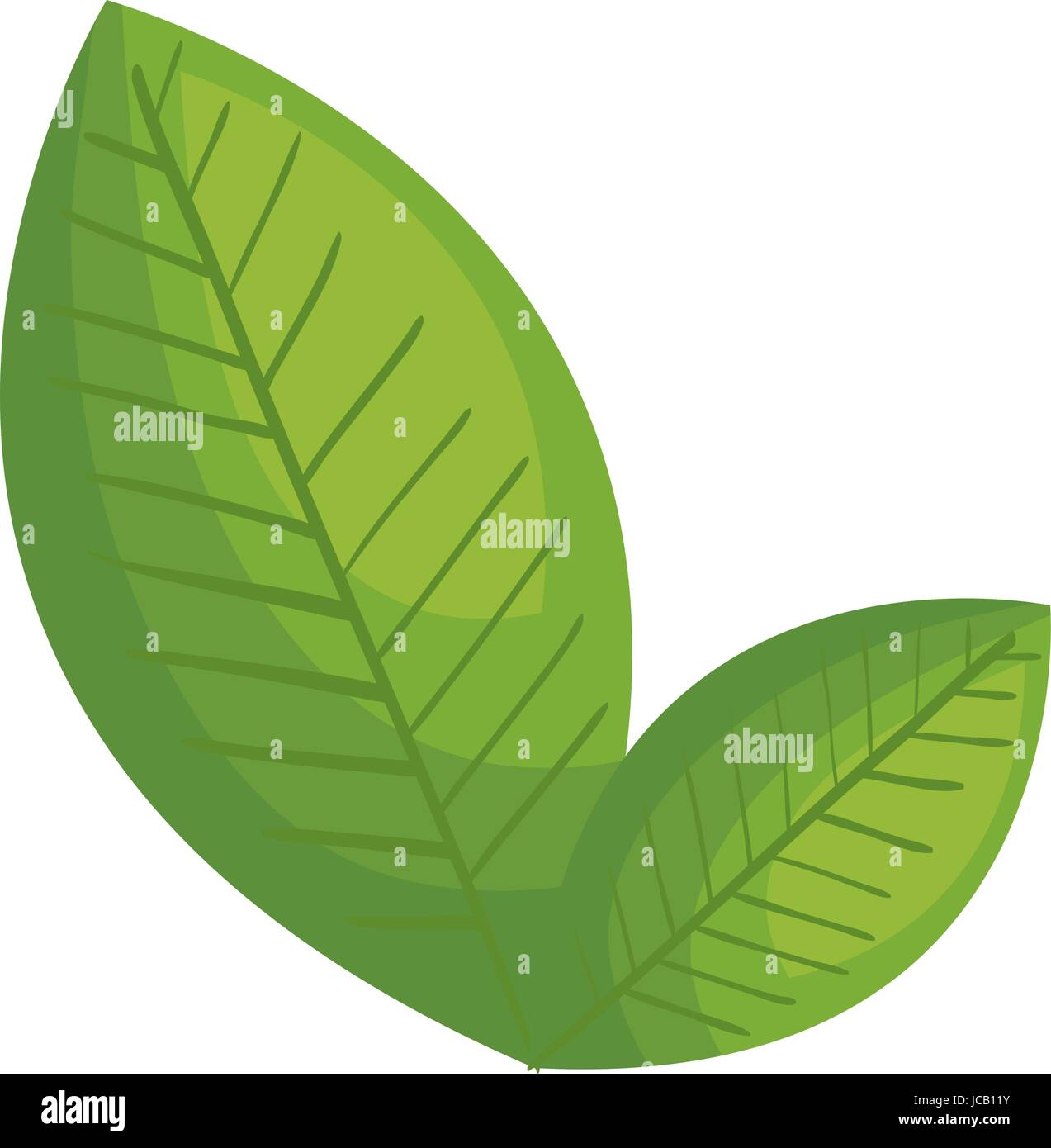 leafs plant ecology icon Stock Vector Image & Art - Alamy