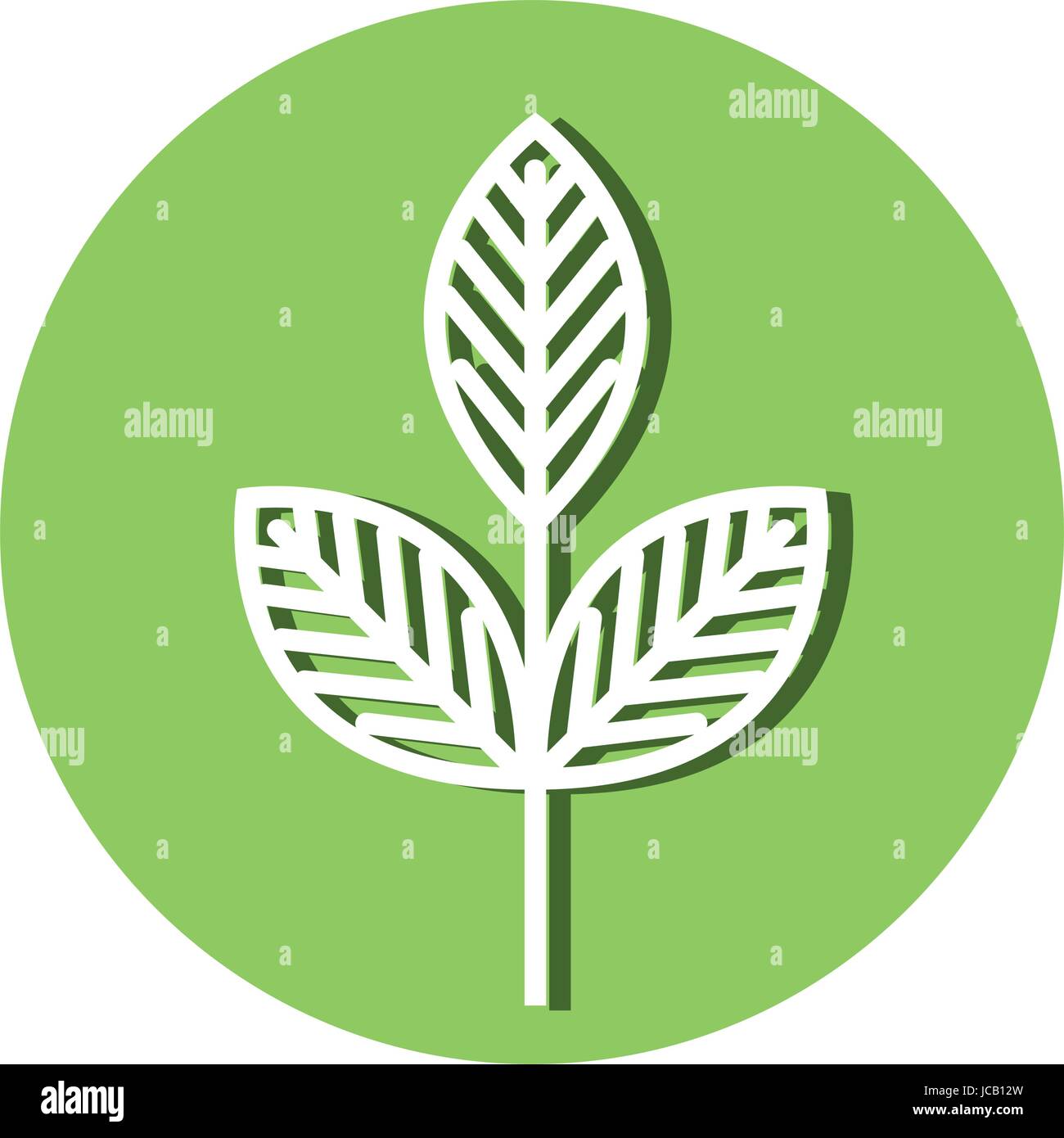 leafs plant ecology icon Stock Vector Image & Art - Alamy