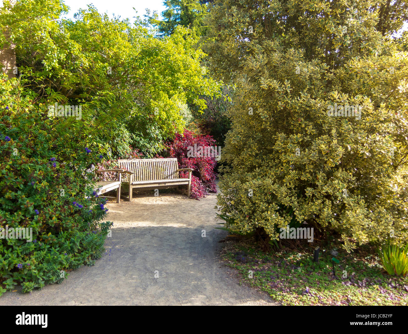 A dirt path leading to a bench placed in a secluded location in a ...