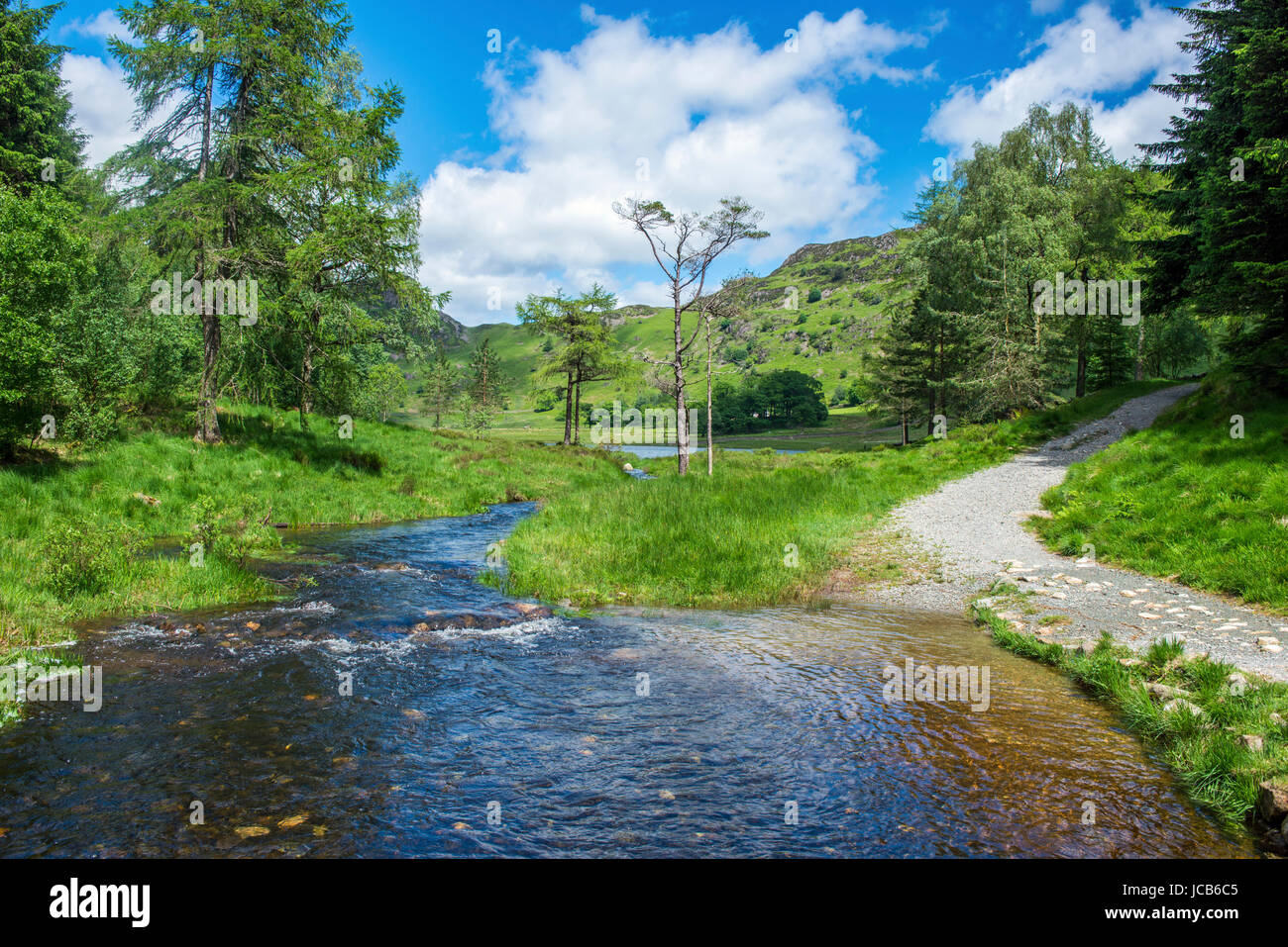 The Outflow of Blea Tarn in the Lake District National Park, which becomes Bleamoss Beck Stock Photo