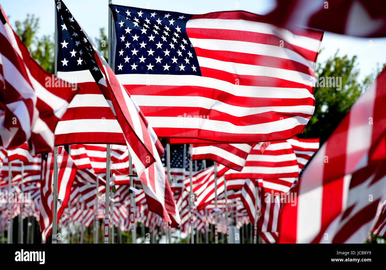 Field of American Flags Stock Photo - Alamy