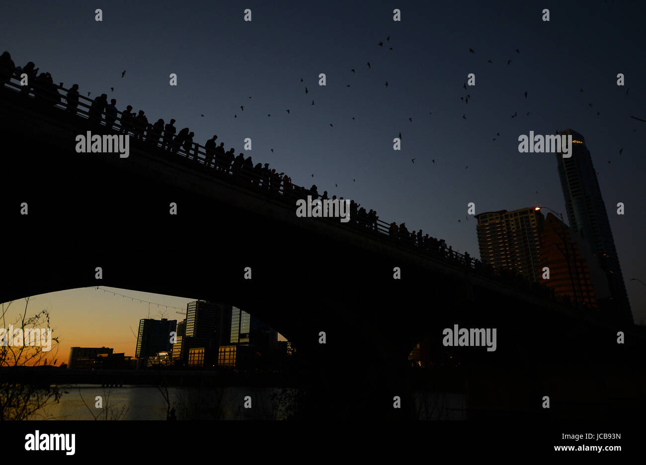 Congress street bridge bat hires stock photography and images Alamy