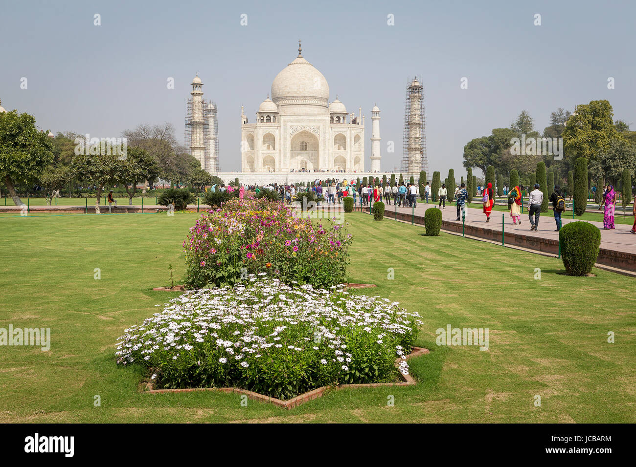 Taj Mahal Garden Flower Hi res Stock Photography And Images Alamy taj-mahal-garden-flower-hi-res-stock-photography-and-images-alamy