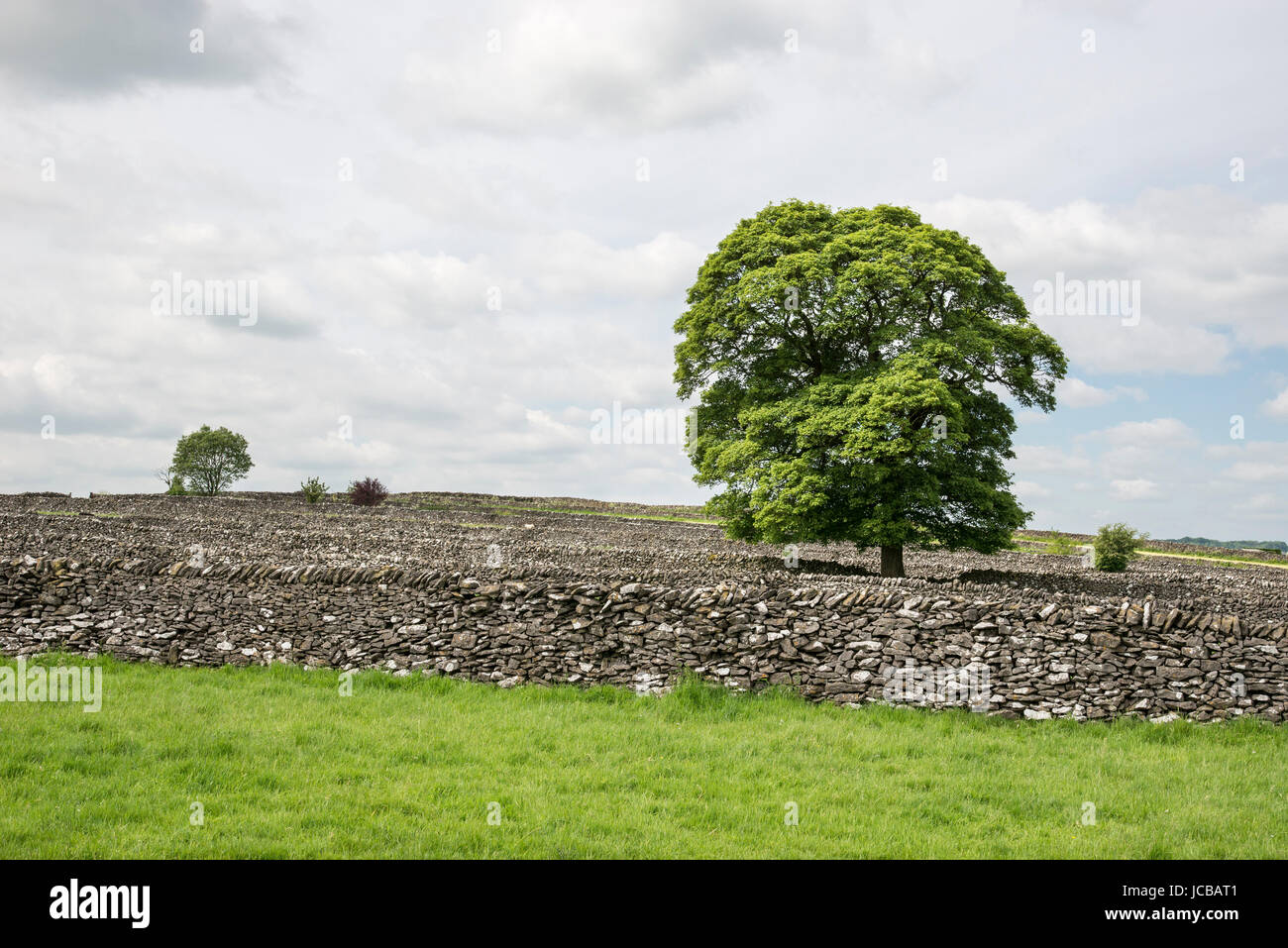 Limestone walls at Litton in the Peak District, Derbyshire, England. Stock Photo