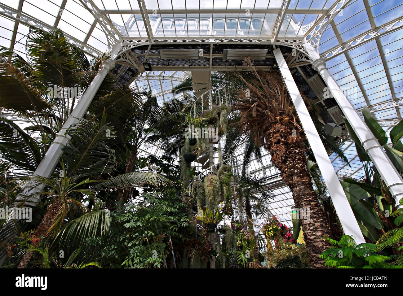 Interior of Sefton Park Palm House,Victorian grade 2 listed in