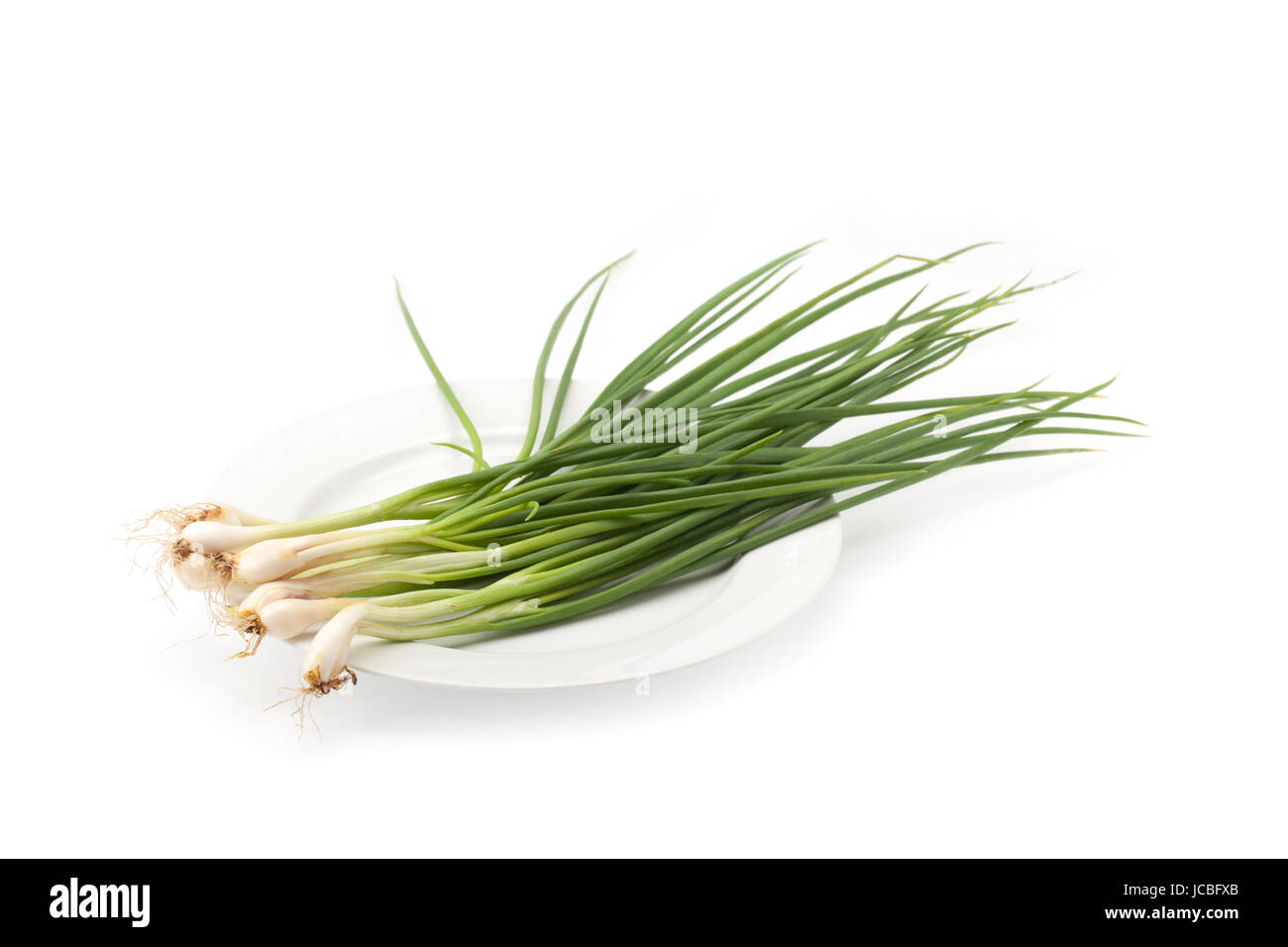 spring onion or chive isolated o white background Stock Photo