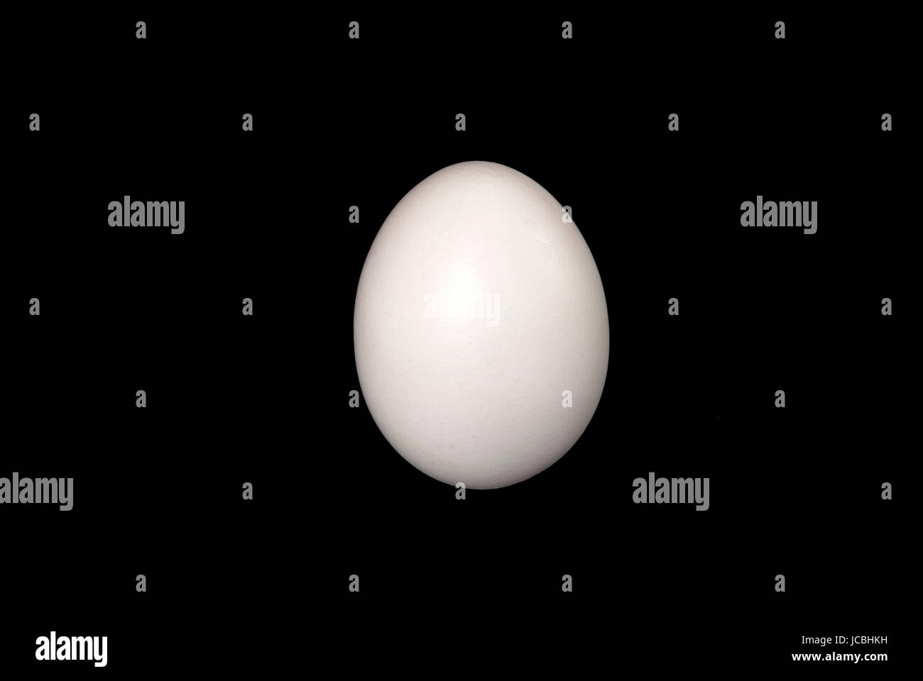 white chicken egg on black background Stock Photo - Alamy
