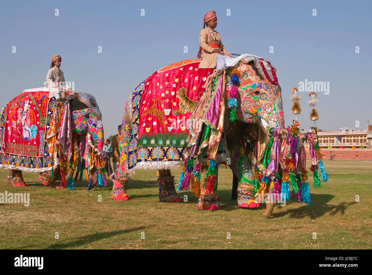 Decorated Indian Elephant (Elephas maximus indicus) and mahout parading at the annual elephant festival in Jaipur, Rajasthan, India. Stock Photo