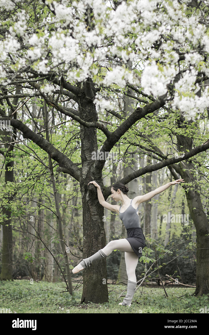 Nature and Ballet Stock Photo