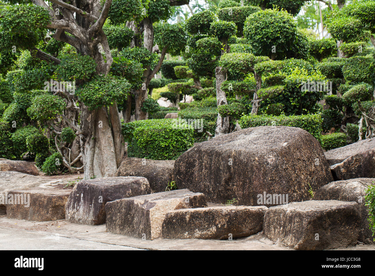 Japanischer Garten mit Bonsaibäumchen Stock Photo