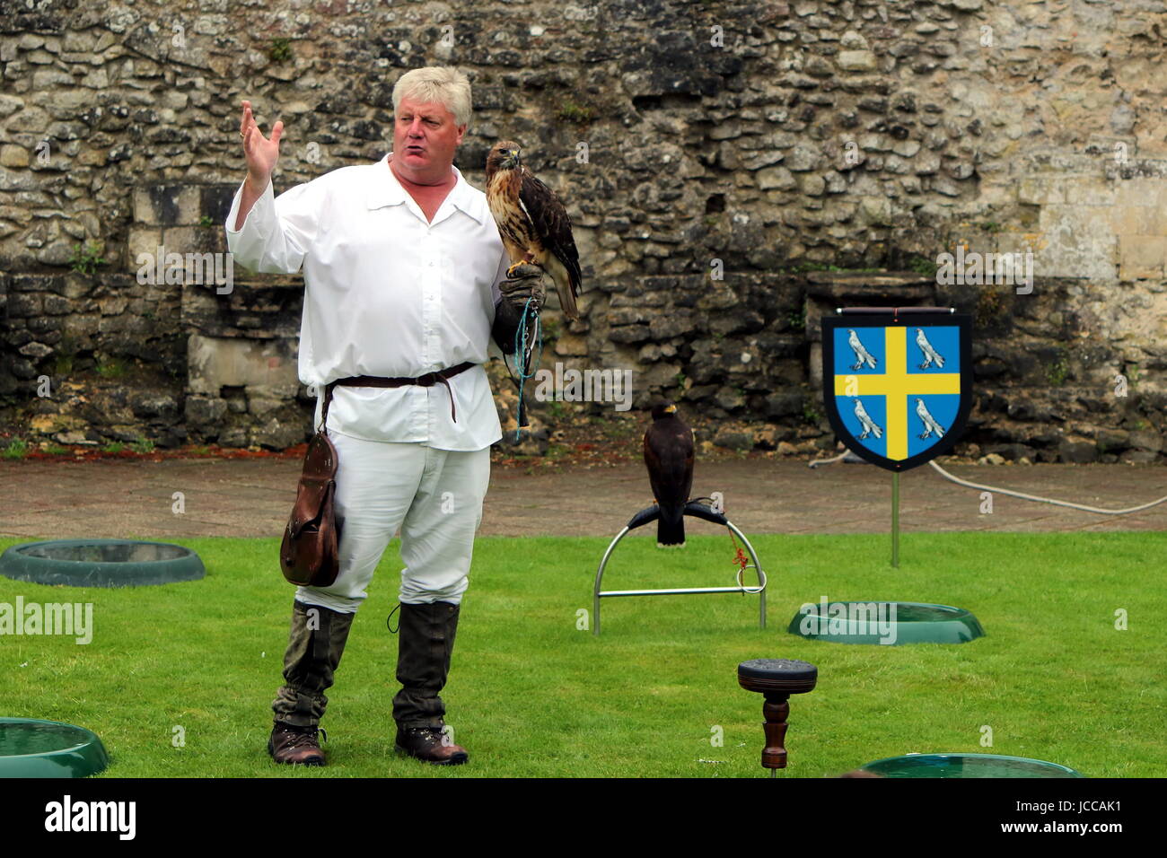Falconry uk hires stock photography and images Alamy