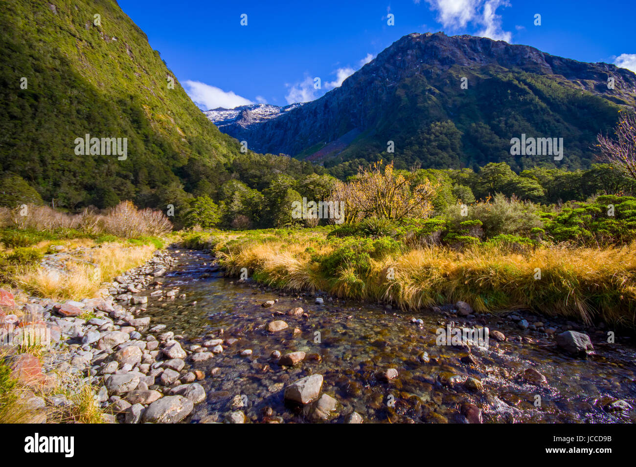 Small creek in a Milford Sound National Park Fjordland, in New Zealand. Stock Photo