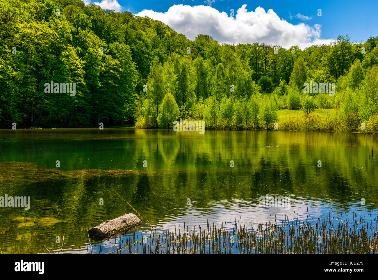 mountain lake among the green forest in picturesque springtime landscape. reflection in crystal clear water. beautiful weather with blue sky and some  Stock Photo