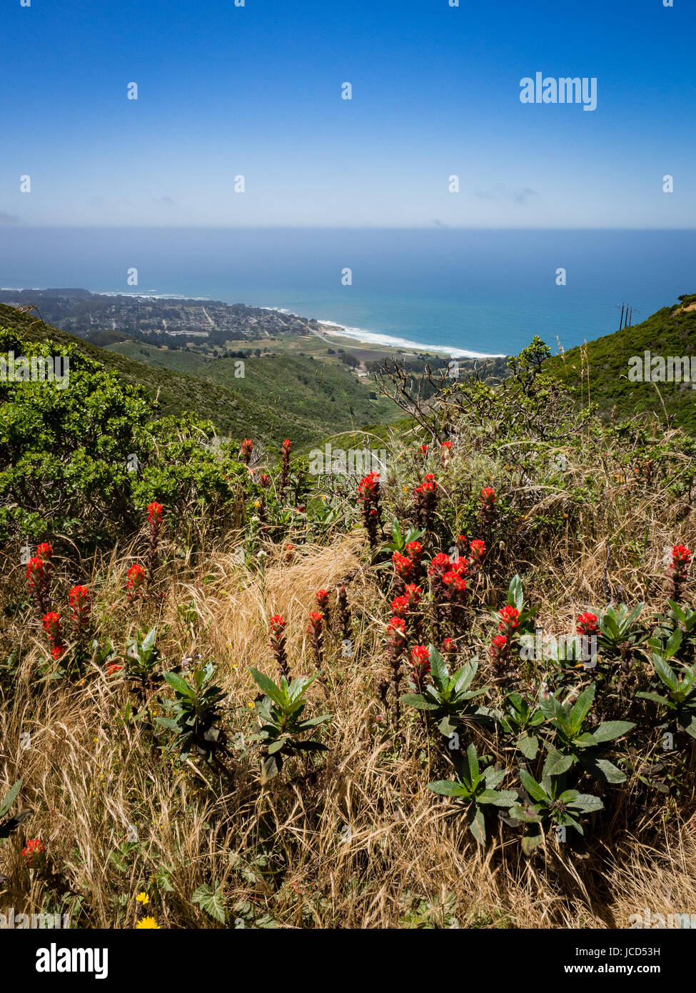View of Montara, California and Pacifica Beach with Pacific Ocean in the distance with Indian Paintbrush wildflowers and chaparral in the foreground.  Stock Photo