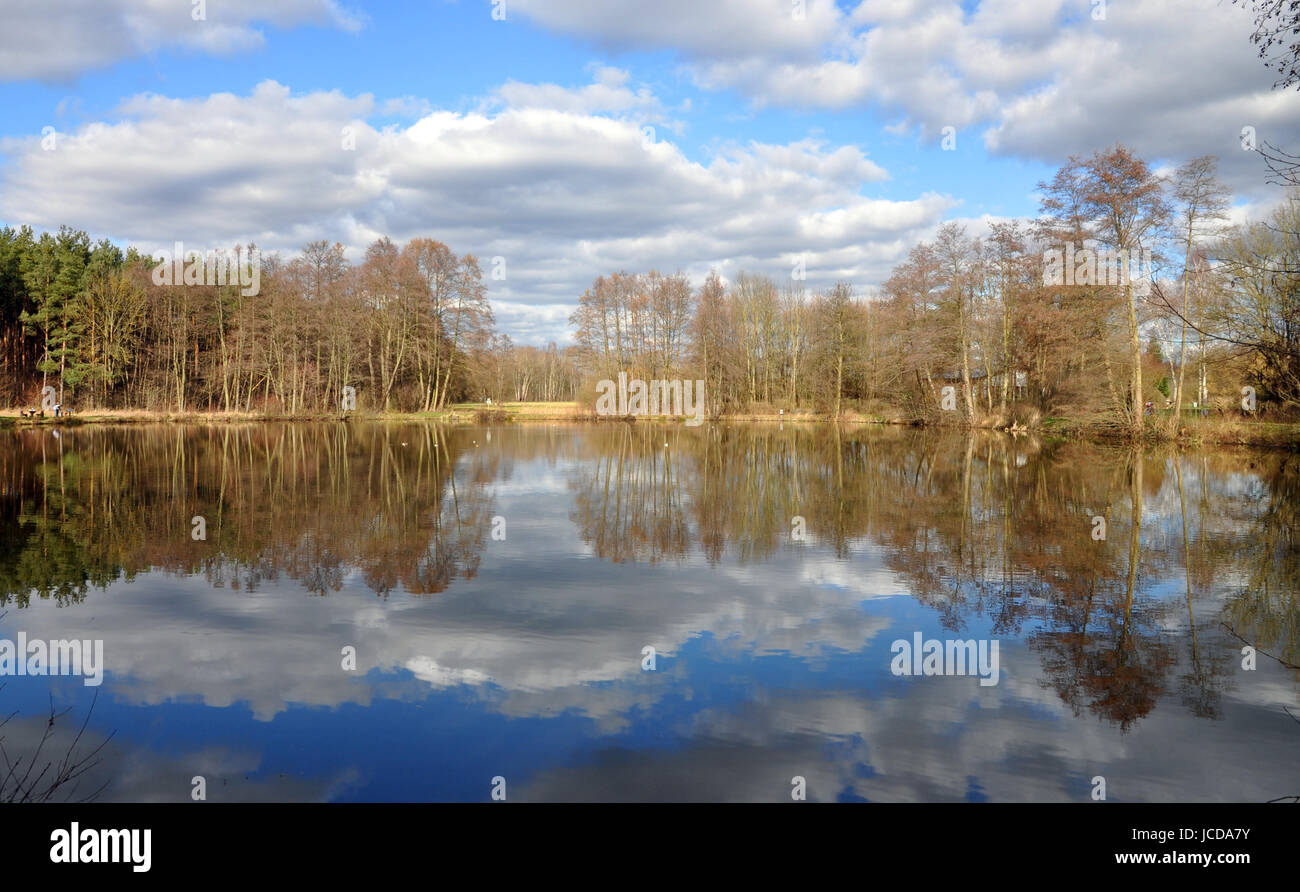 teich, see, weiher, gewässer, wasser, wald, waldsee, spiegelung, himmel