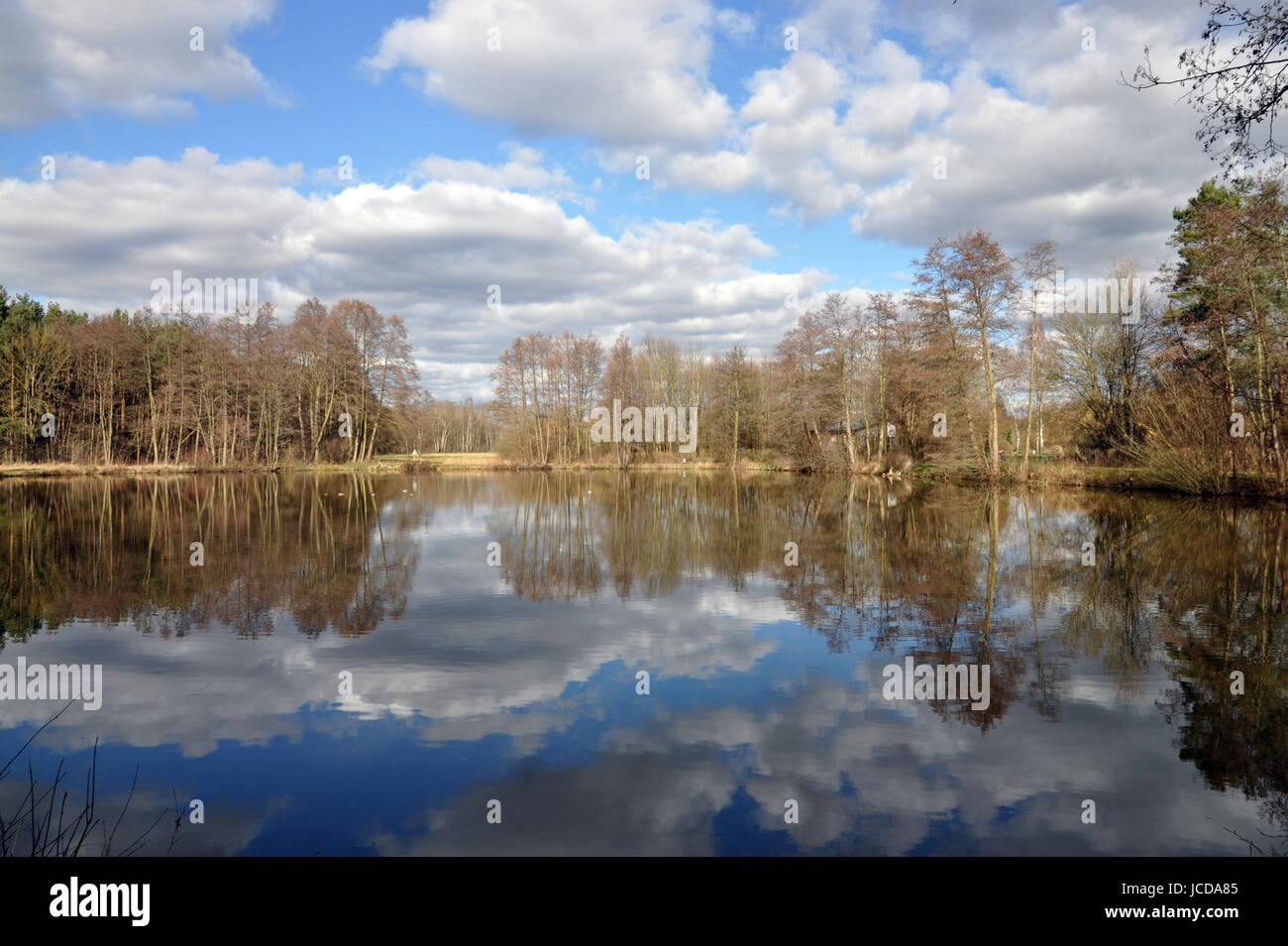 teich, see, weiher, gewässer, wasser, wald, waldsee, spiegelung, himmel