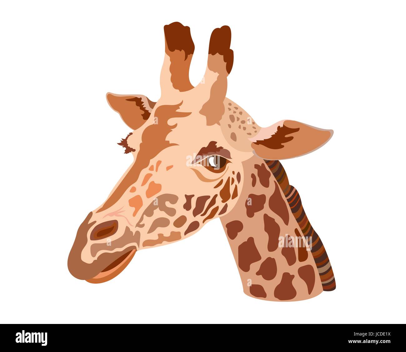 Giraffe head isolated on a white background Stock Vector Image & Art Alamy