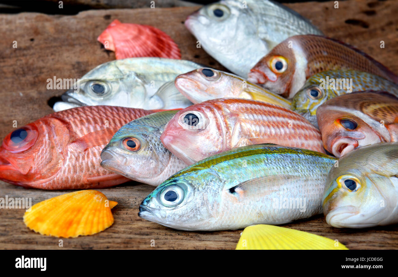 mix colorful fresh fishes from fishery market on wooden plate Stock ...