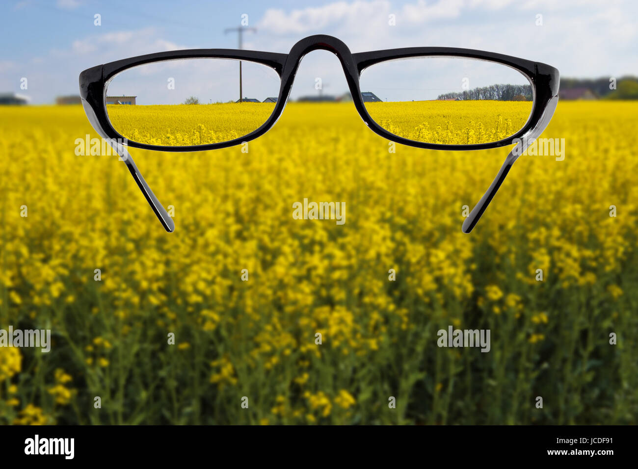 Brille vor unscharfem Landschaftshintergrund Stock Photo