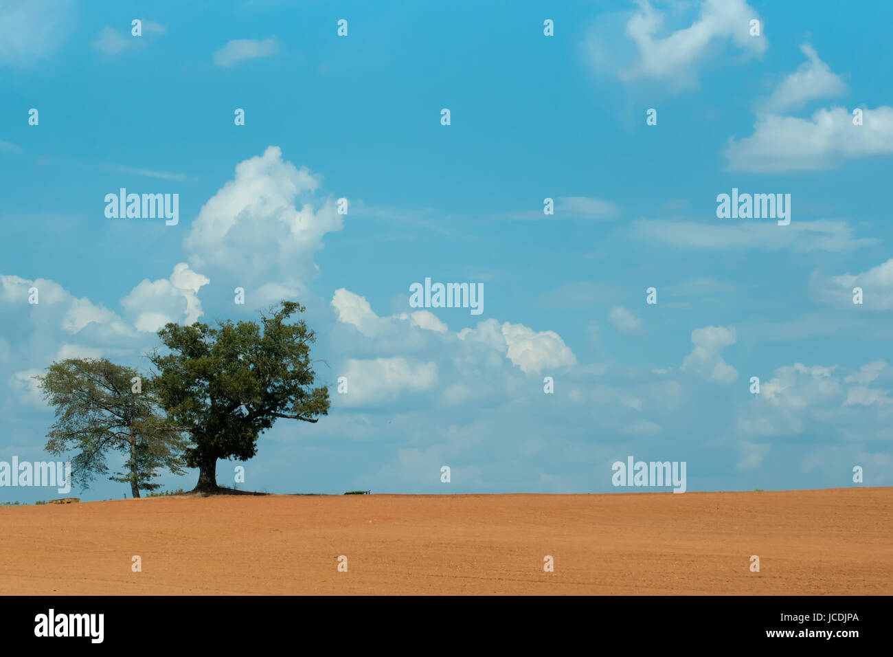 farm field with lone tree and blue sky Stock Photo - Alamy