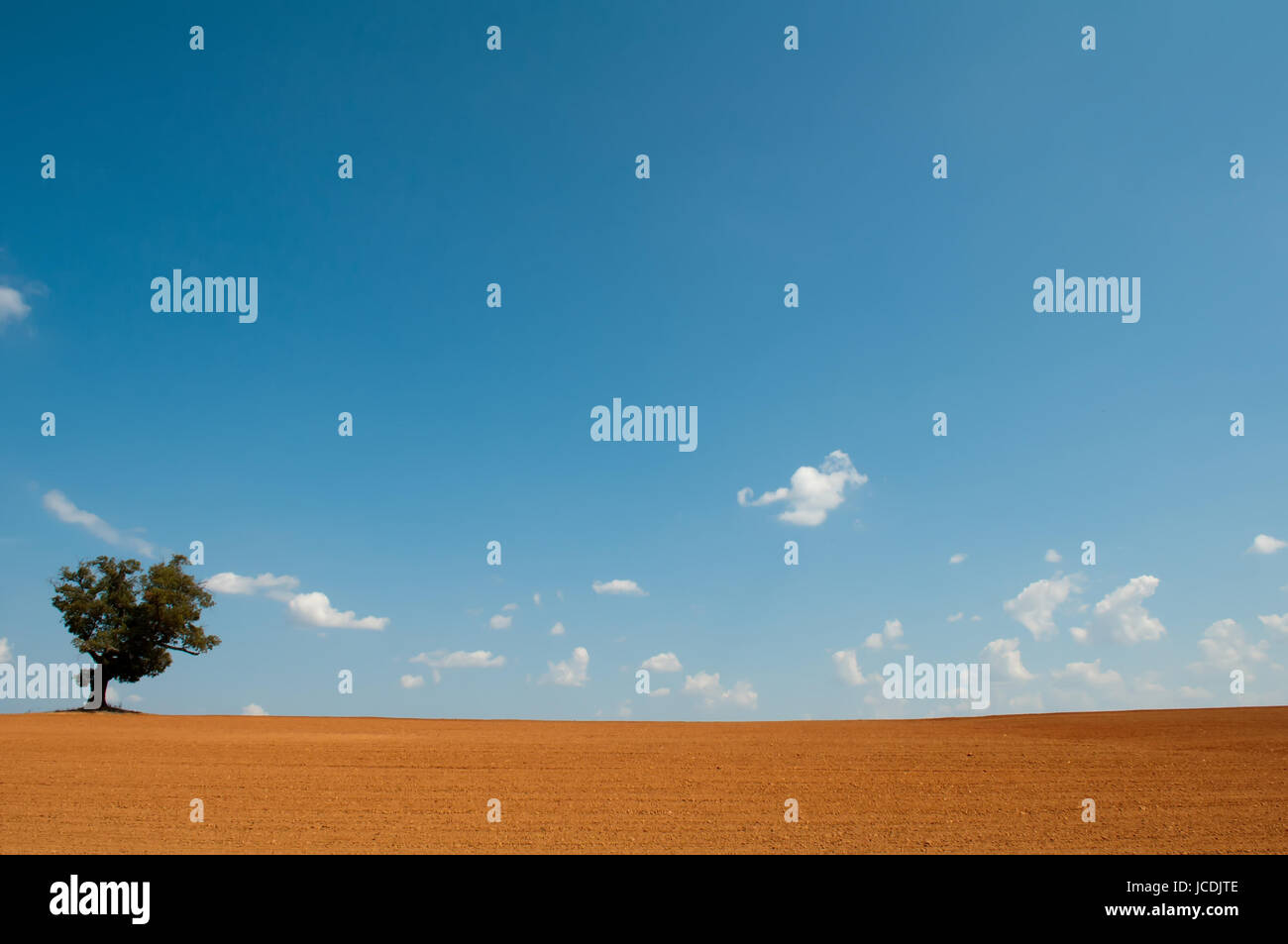 farm field with lone tree and blue sky Stock Photo - Alamy