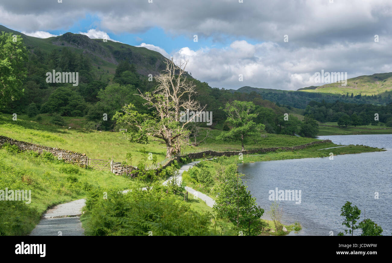 Rydal Water in early June in the Lake District National Park, Cumbria. Stock Photo