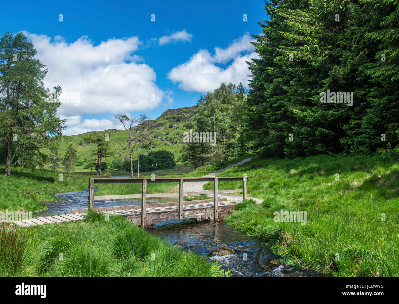 Outflow from Blea Tarn Lake District National Park Cumbria Stock Photo