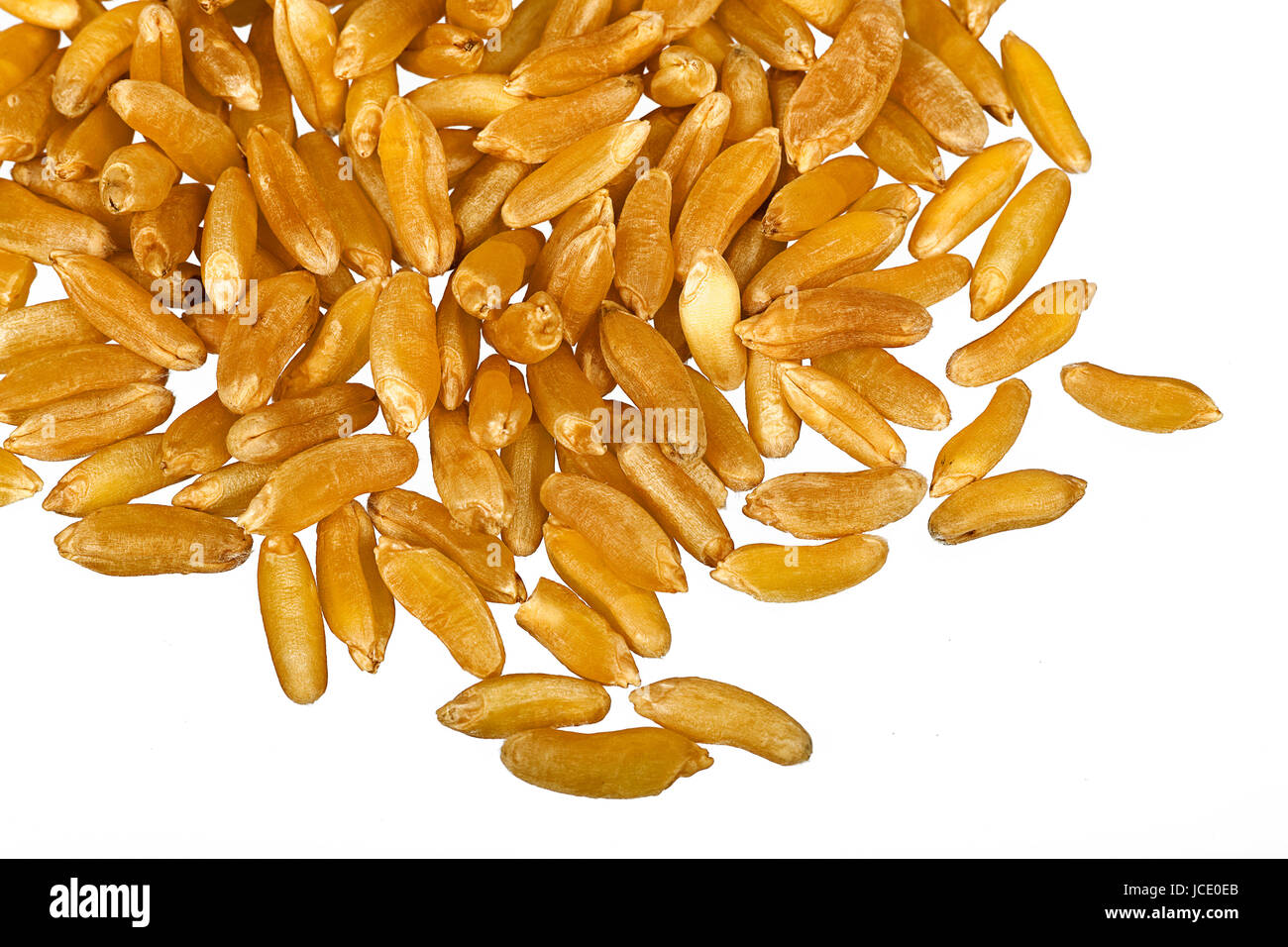 kamut grains closeup isolated on white background Stock Photo - Alamy