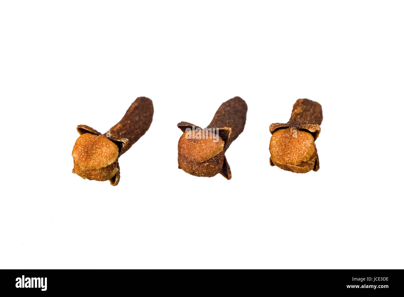 whole clove spice on white background Stock Photo - Alamy