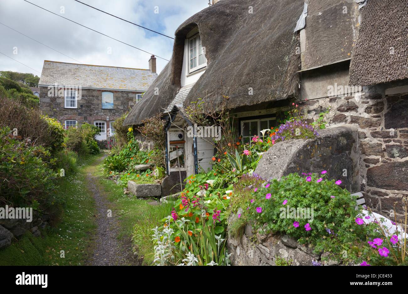 Thatched cottages at cadgwith hires stock photography and images Alamy
