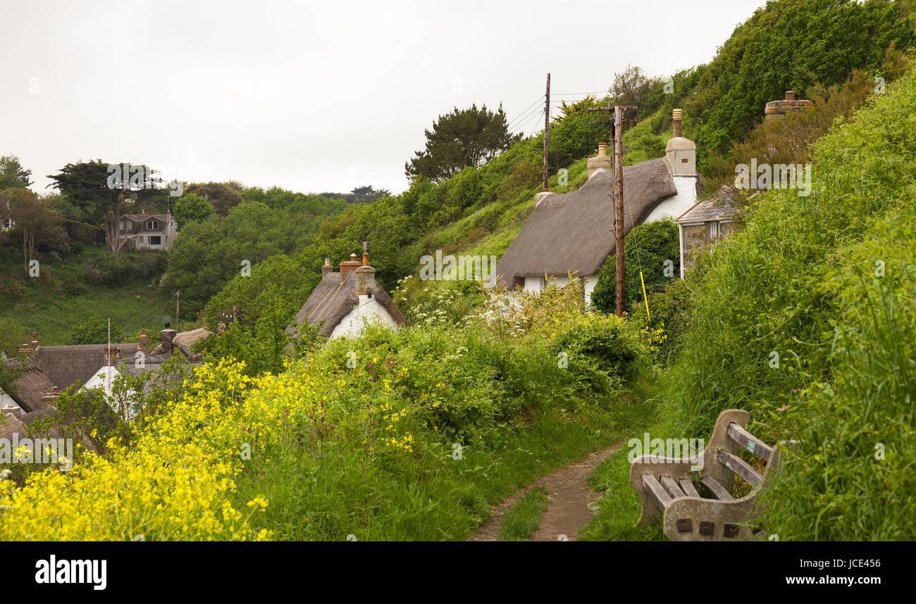 Thatched cottages at cadgwith hires stock photography and images Alamy