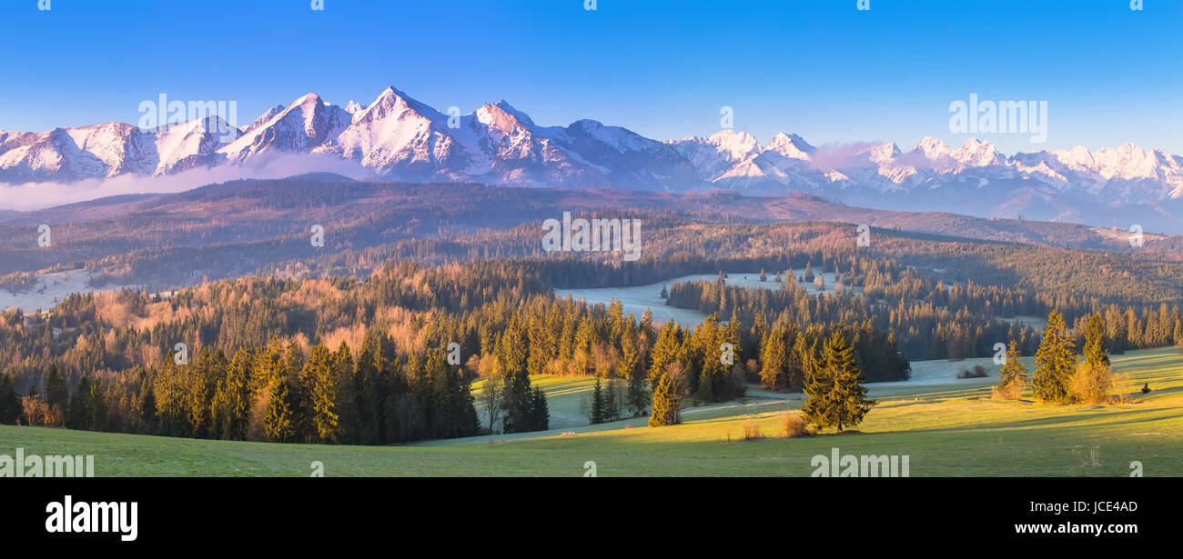 Summer alpine scene. Vivid alpine morning panorama. Blue sky over sunny ...