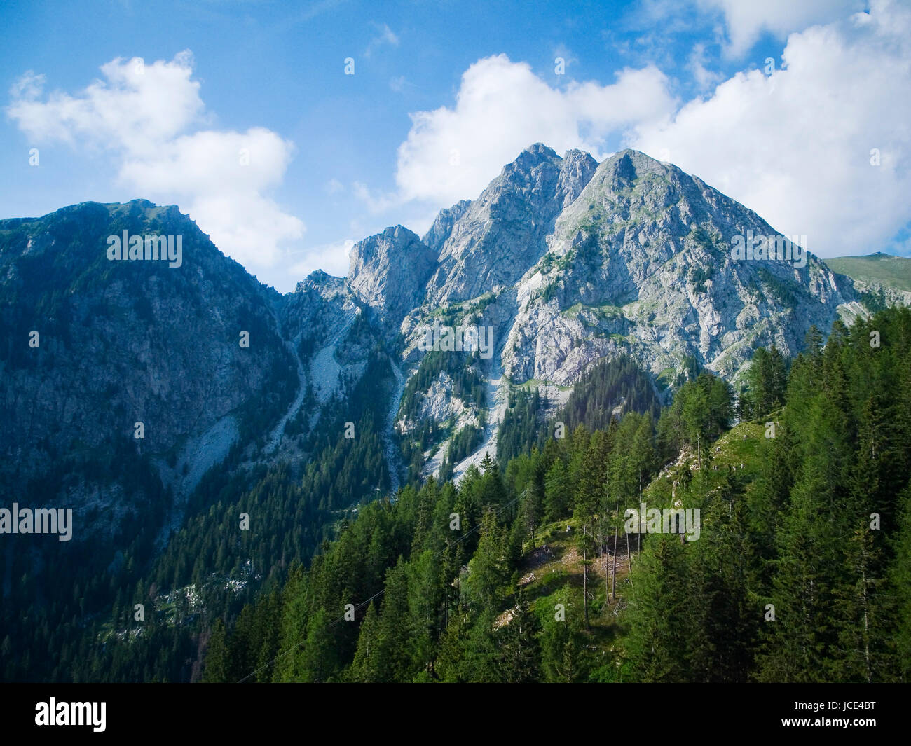 Landschaftsaufnahme mit Blick auf den Ifinger in Südtirol im Sommer mit Wald im Vordergrund Stock Photo