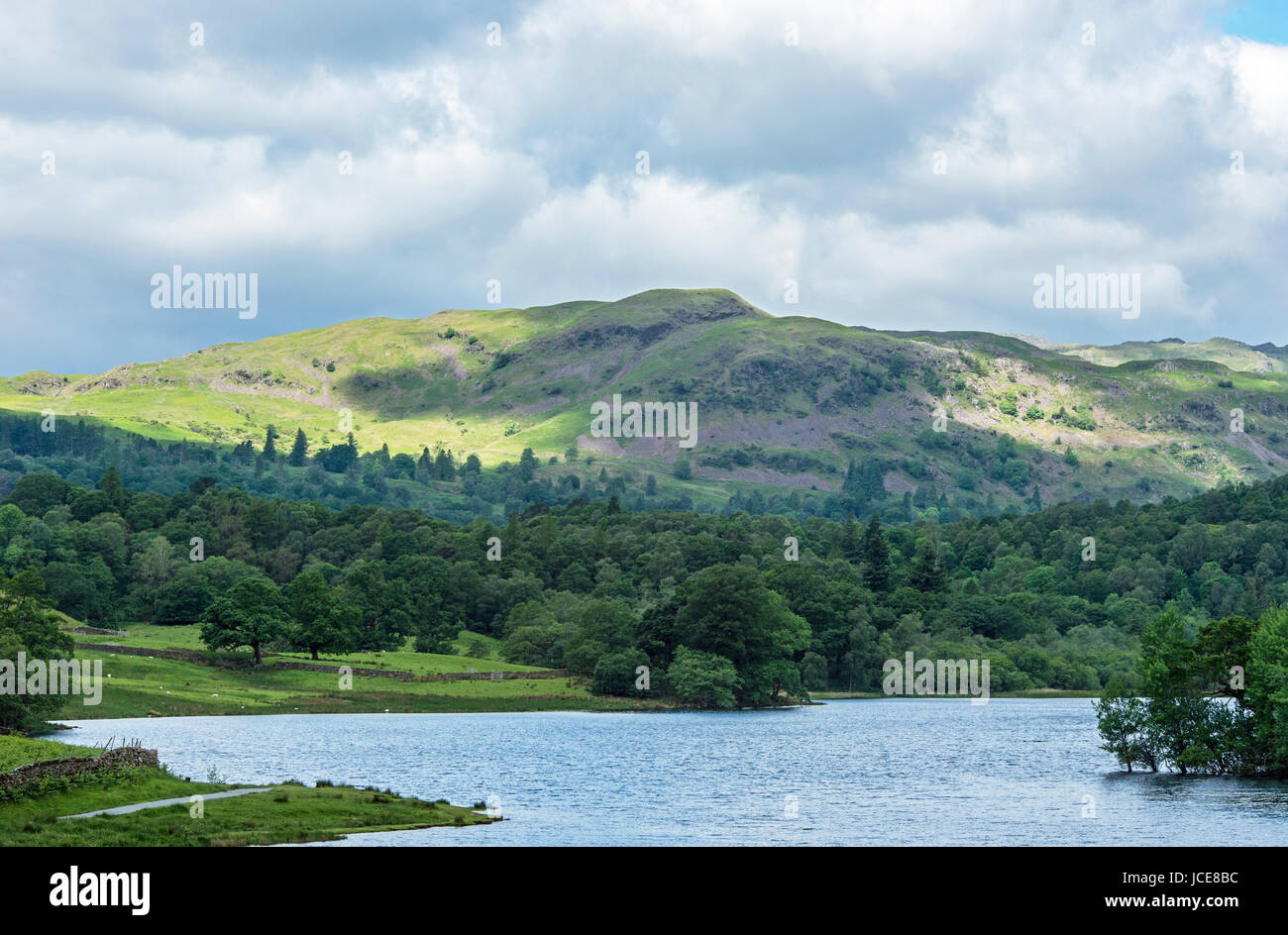 Rydal Water and Silver How Lake District Cumbria Stock Photo
