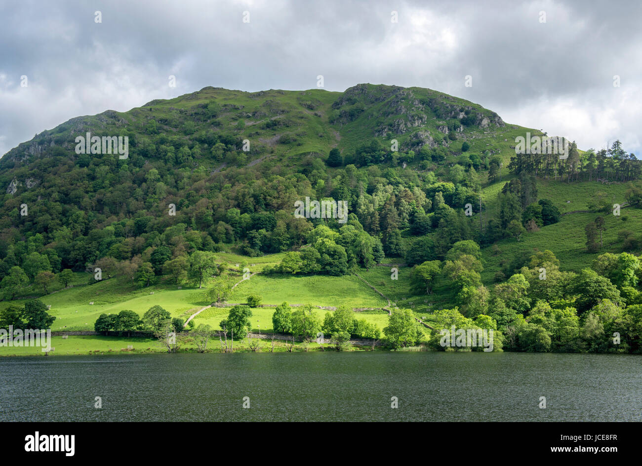 Nab Scar from Rydal Water Lake District National Park Cumbria Stock Photo