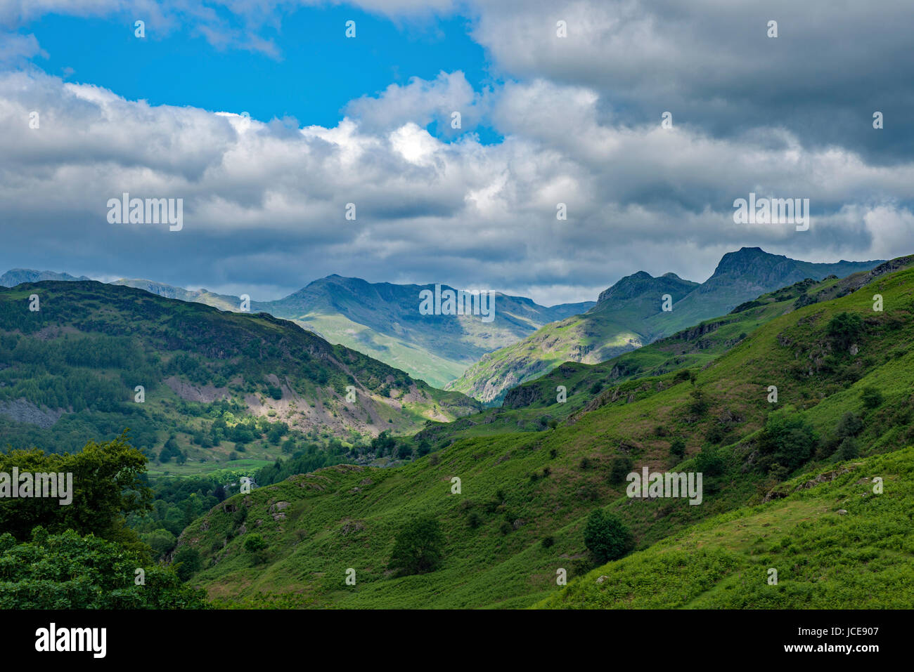 Great Langdale Valley Lake District National Park Cumbria Stock Photo