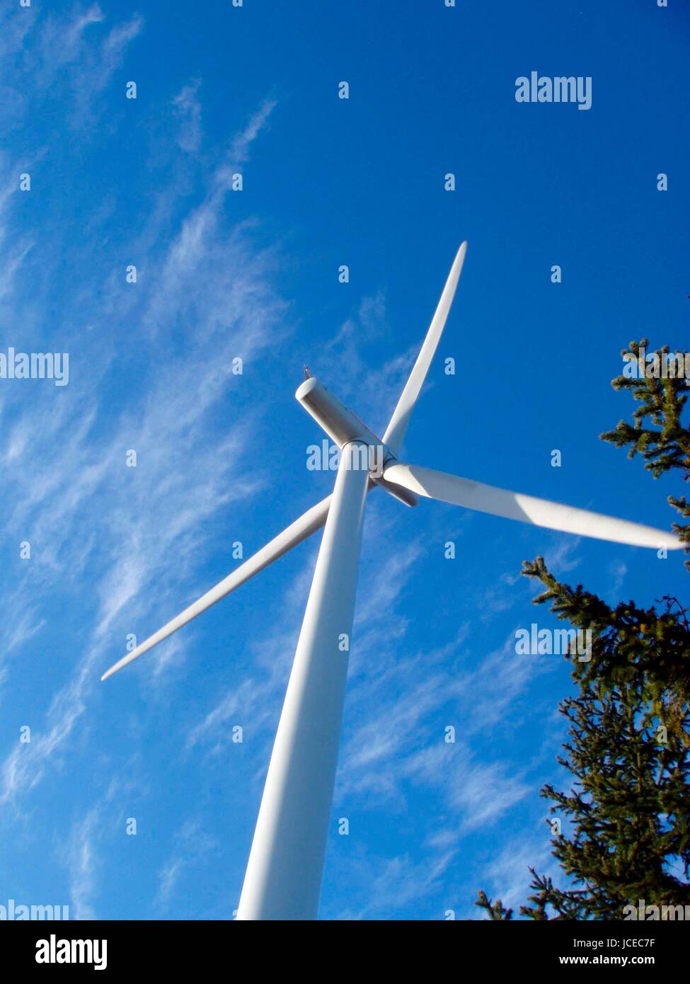 wind,windenergie,energie,energiewirtschaft,e-wirtschaft Stock Photo