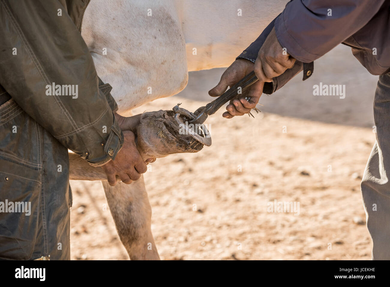 Farrier at work in a traditional countryside market in Morocco Stock Photo