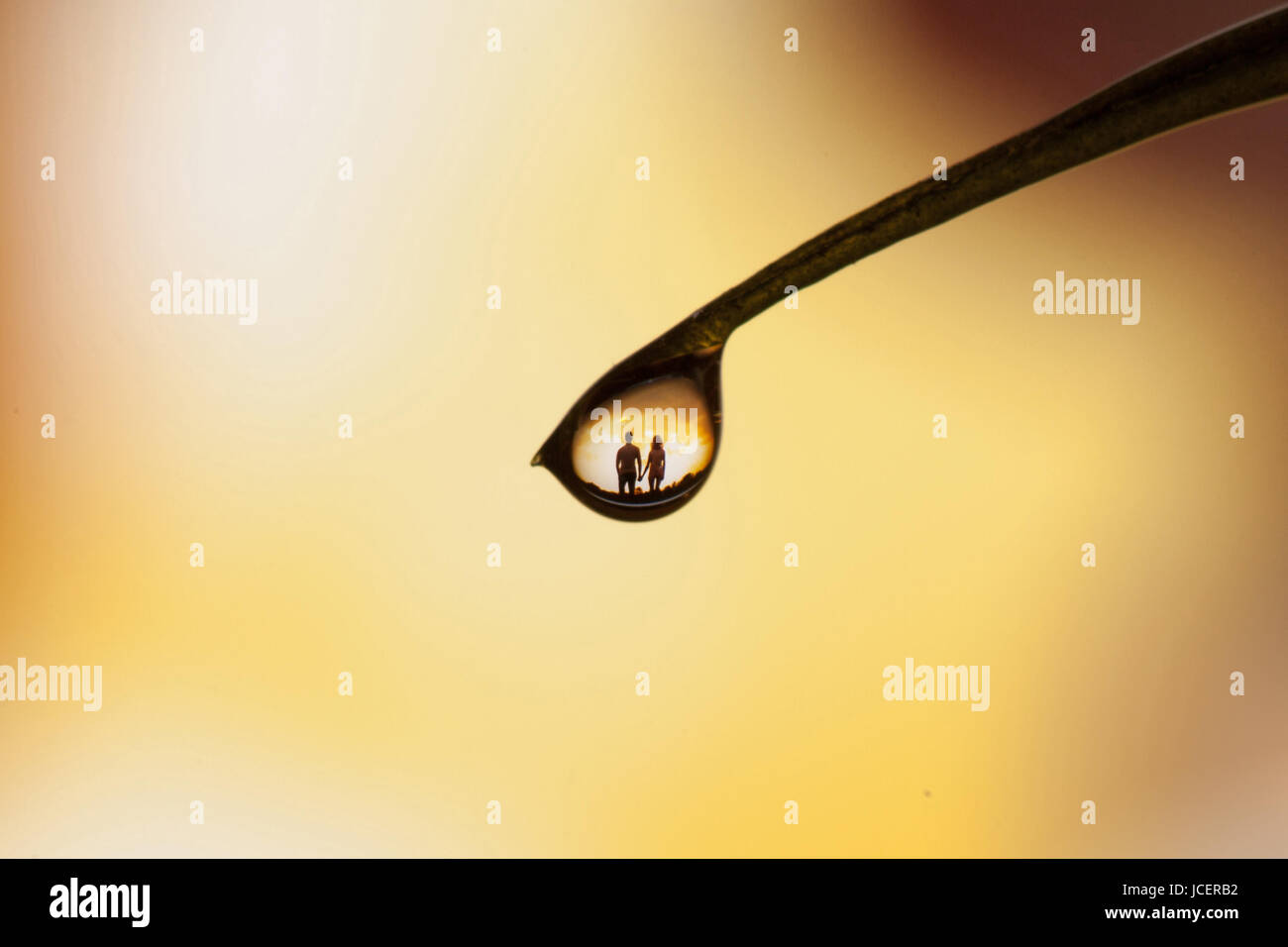 Couple in love reflected in a drop of dew on grass Stock Photo