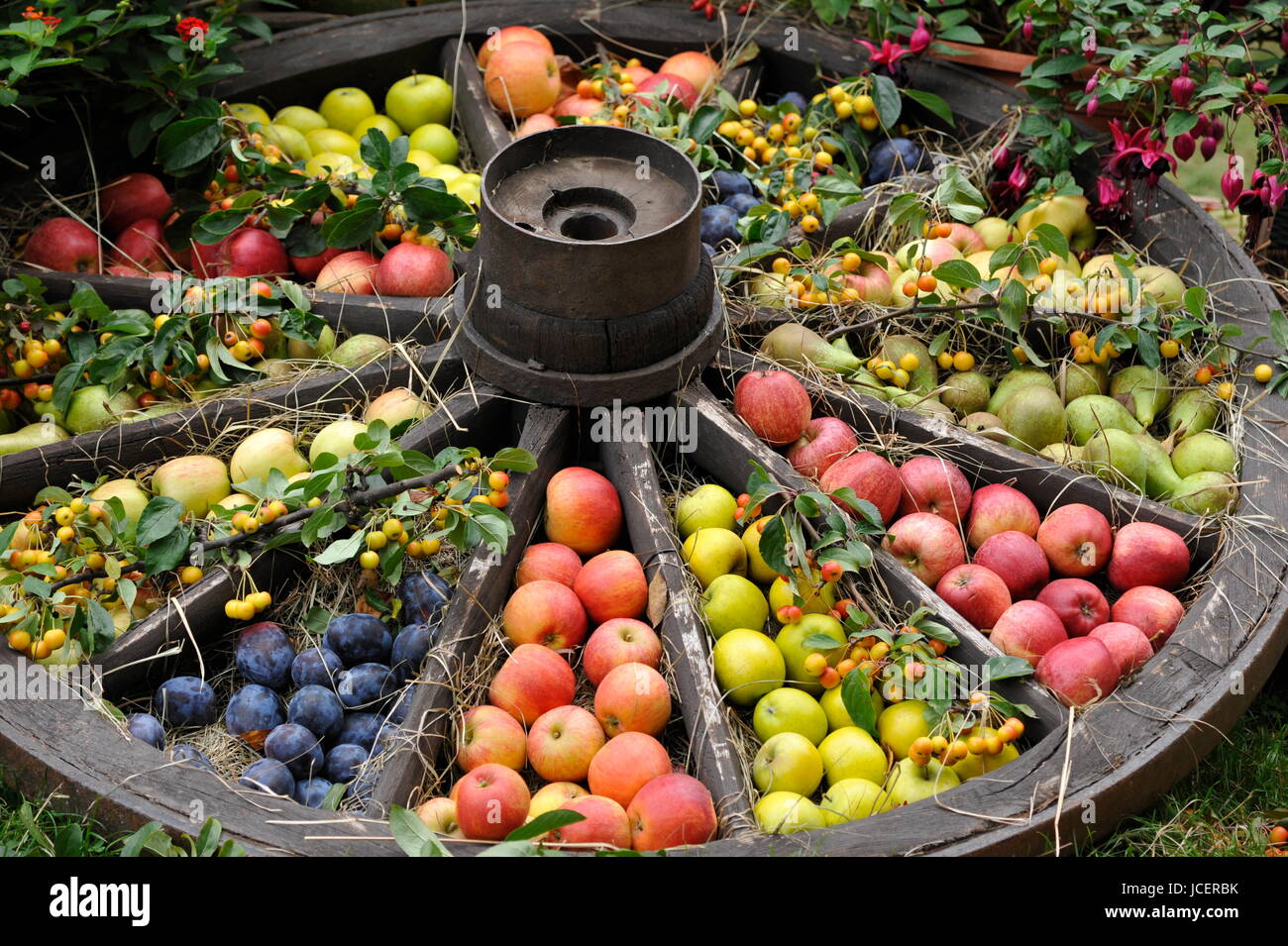 Vegetables and fruits in Herrenhausen Gardens Hanover Germany. Stock Photo