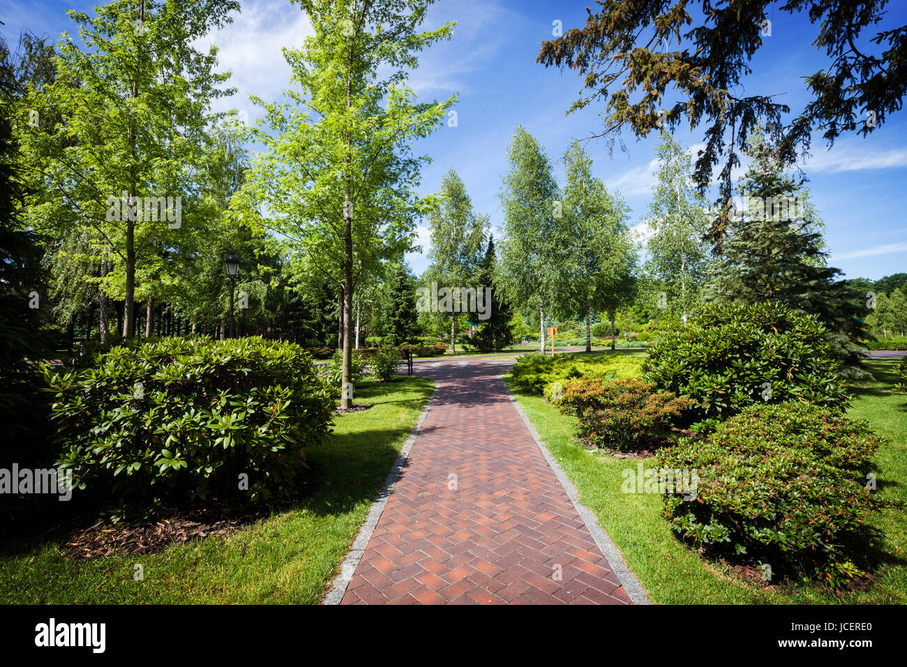 Summer green city park at sunny day Stock Photo - Alamy