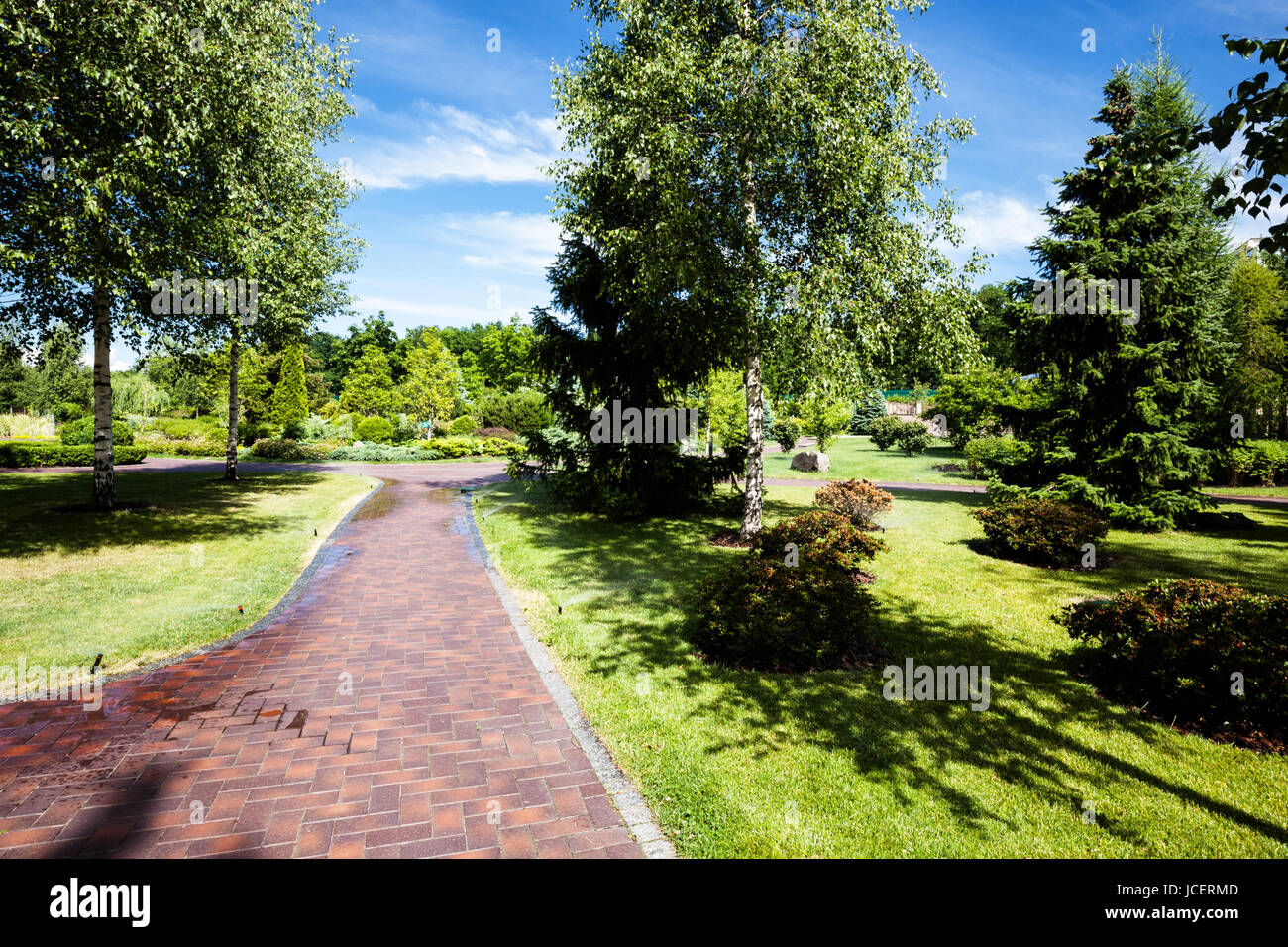 Summer green city park at sunny day Stock Photo - Alamy